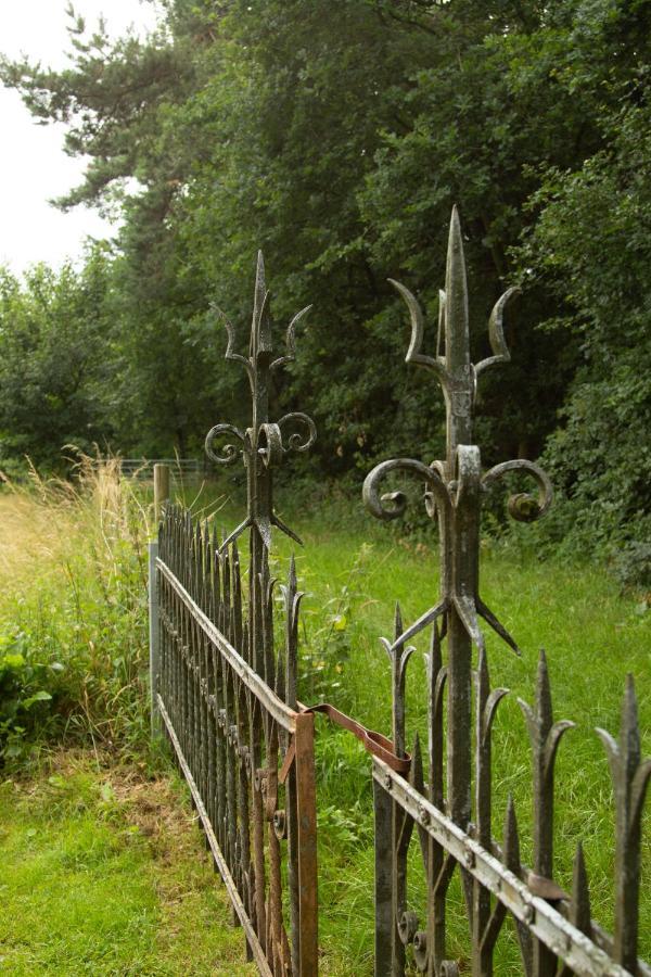 Op De Grens Villa Lommel Eksteriør bilde
